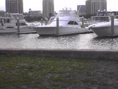 Pier at St. Petersburg