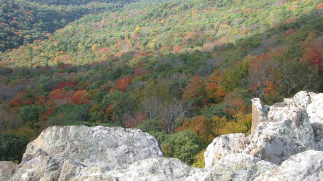 closerviewfromtherockledge.jpg