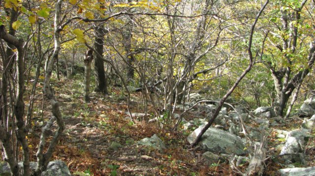 wherestheappalachiantrail.jpg