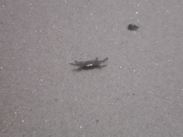 DSC01858.JPG