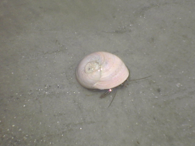 DSC01865.JPG