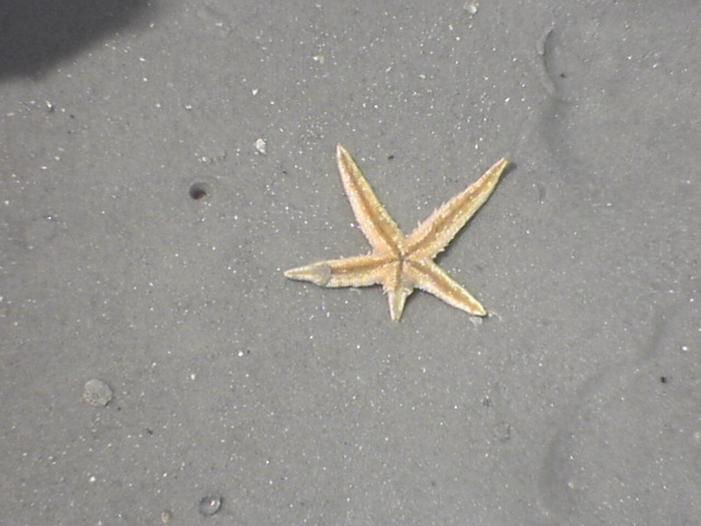 DSC01867.JPG