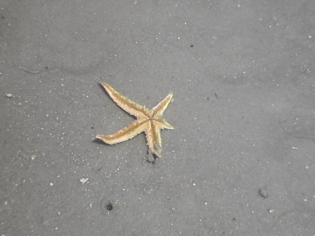 DSC01868.JPG