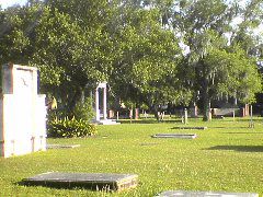 DSC01953.JPG