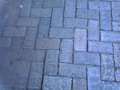 DSC01957.JPG