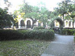 DSC01960.JPG