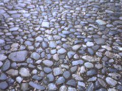 DSC01969.JPG