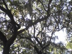 DSC01935.JPG