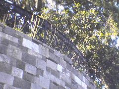 DSC01944.JPG