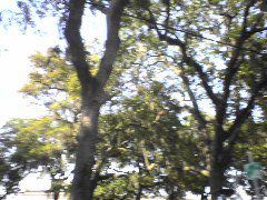 DSC01945.JPG