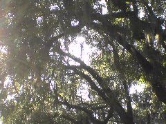 DSC01946.JPG