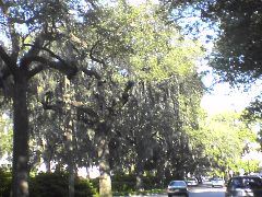 DSC01948.JPG