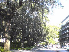 DSC01949.JPG