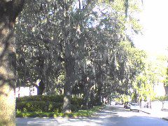 DSC01950.JPG