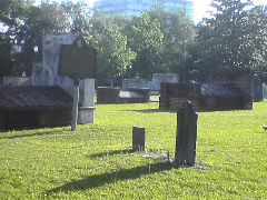 DSC01952.JPG