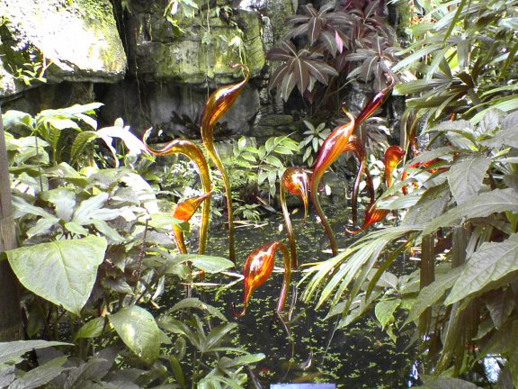 glass-garden29