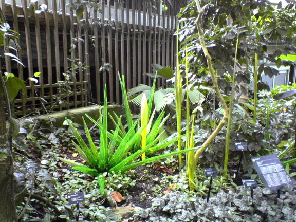 glass-garden28