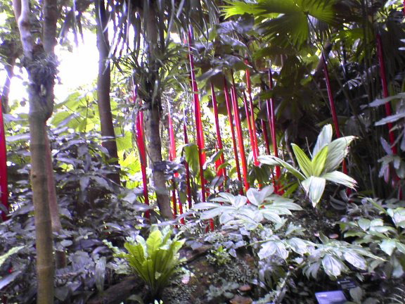 glass-garden7