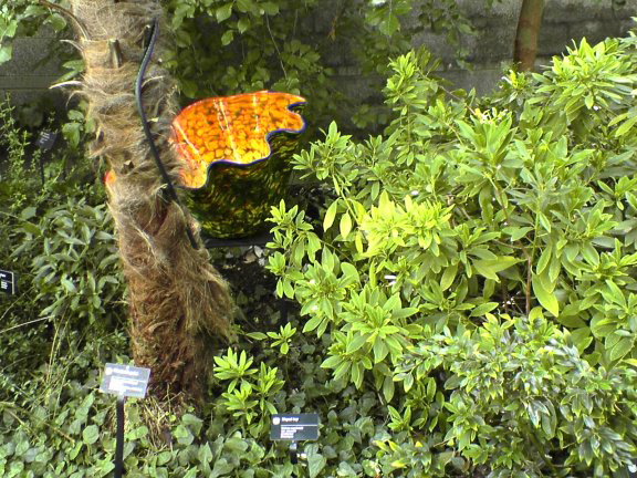glass-garden48
