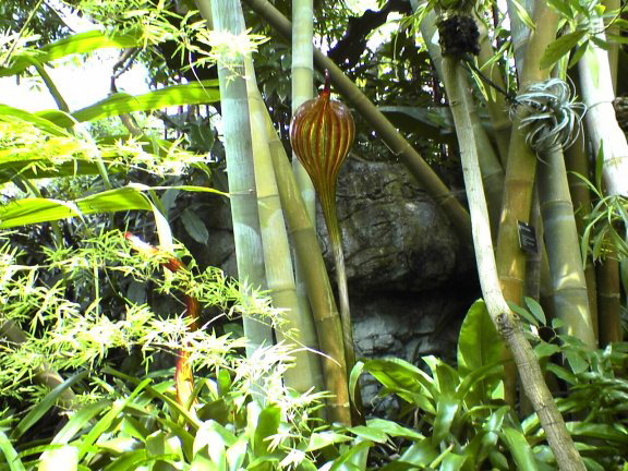 glass-garden26