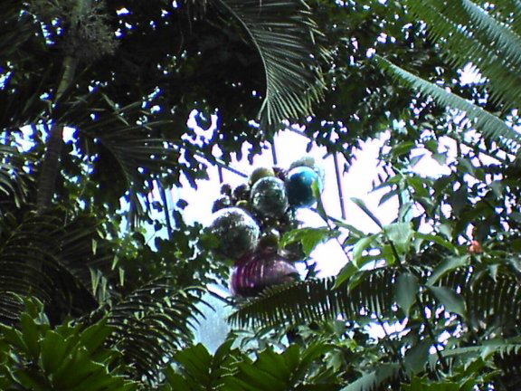 glass-garden16
