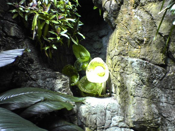 glass-garden34