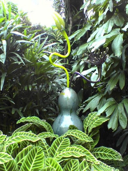 glass-garden32