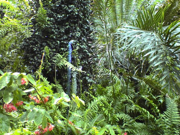 glass-garden18