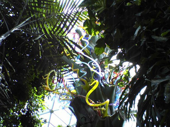 glass-garden17