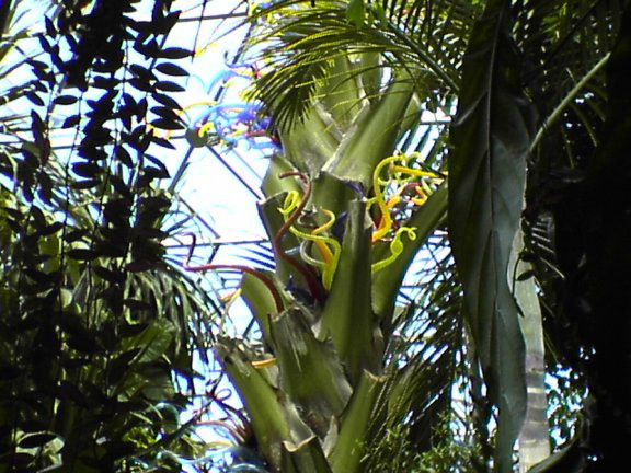 glass-garden12