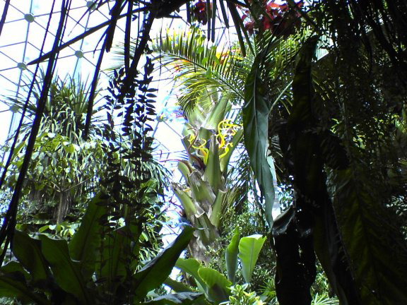 glass-garden11