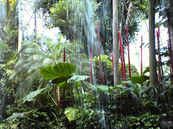 glass-garden10