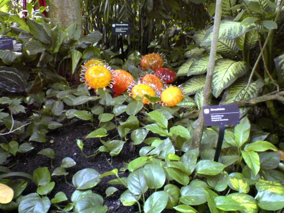 glass-garden2
