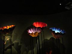 glass-flower-display