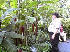 Race-glass-garden