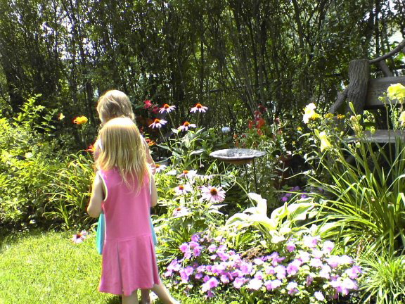Garden3