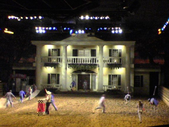 6-ostriches3