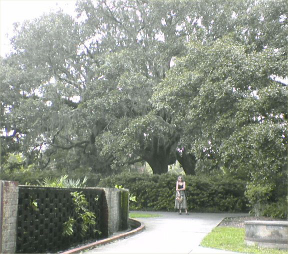 BrookfieldGardens82-Peg