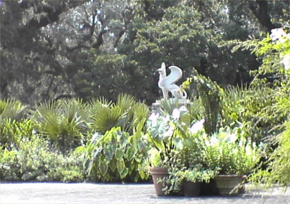 BrookfieldGardens11