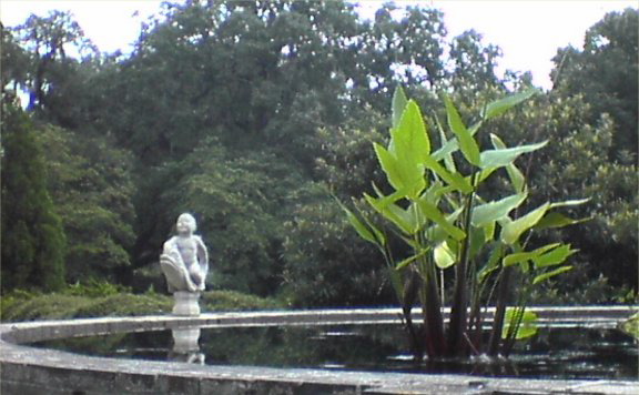 BrookfieldGardens77-pool