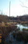 The Bog
