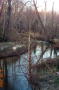 The Stream