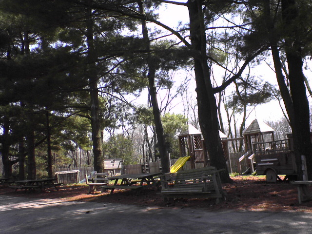 DSC00246.JPG