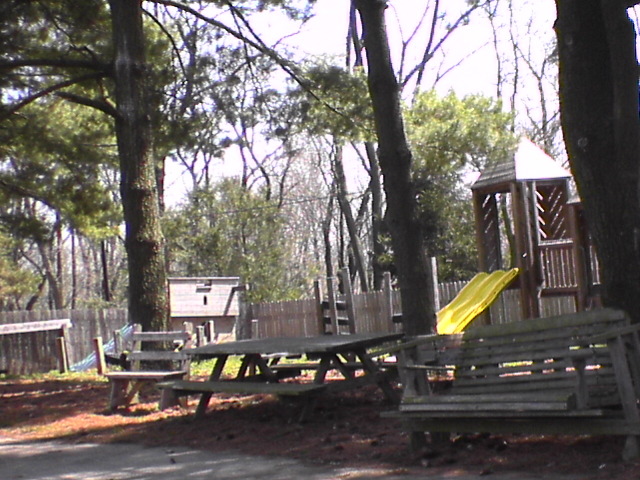 DSC00247.JPG