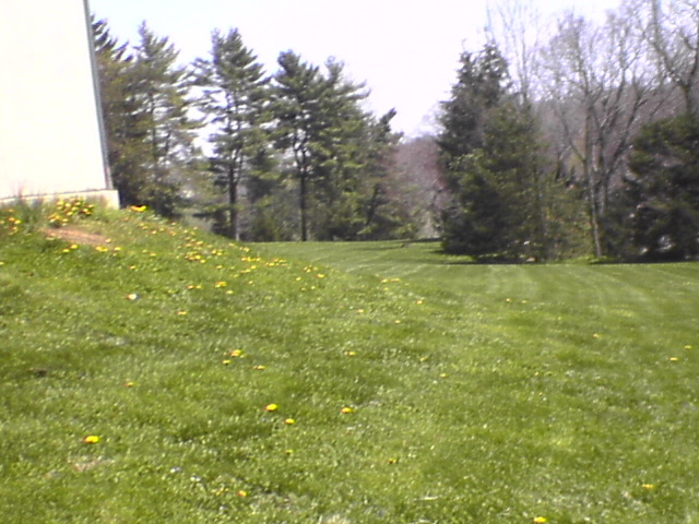 DSC00248.JPG