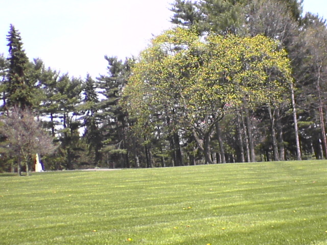 DSC00250.JPG
