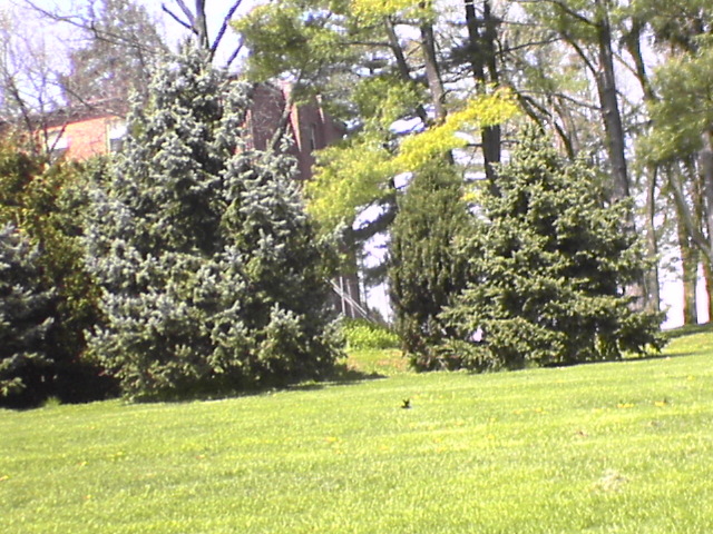 DSC00251.JPG