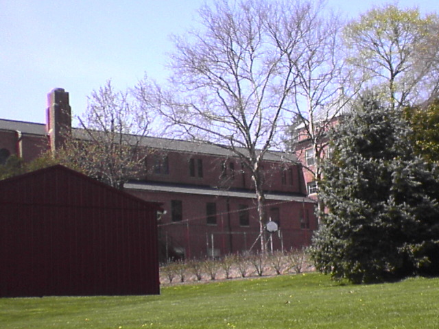 DSC00253.JPG