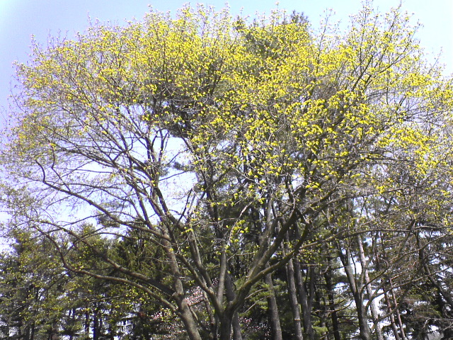 DSC00254.JPG