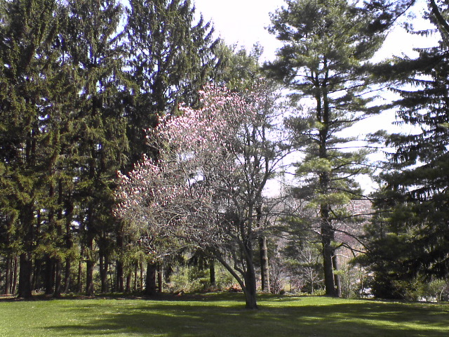 DSC00255.JPG
